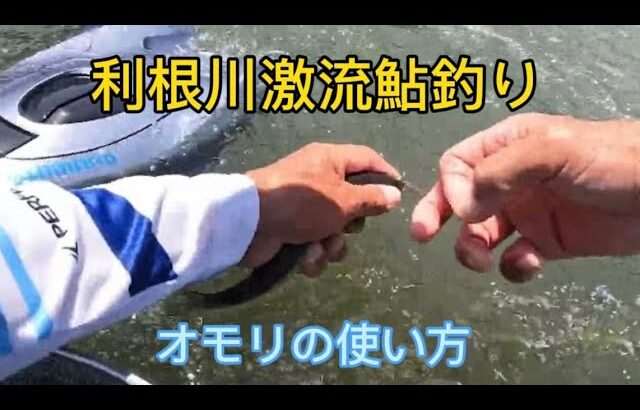 利根川激流鮎釣り オモリの使い方と簡易シャワー