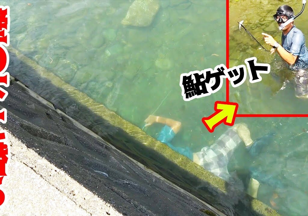 【こだま無双】岸壁の中にいる鮎をモリで突きまくる漢