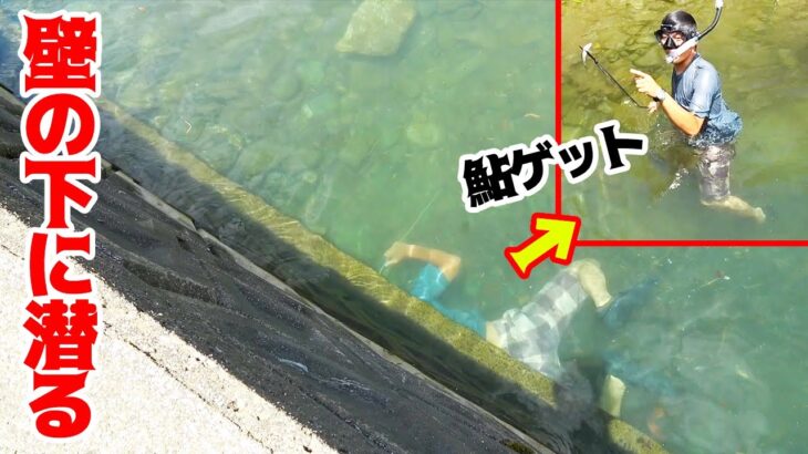 【こだま無双】岸壁の中にいる鮎をモリで突きまくる漢