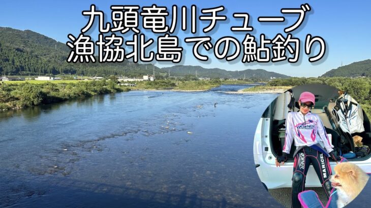 [鮎釣り]九頭竜川中部漁協北島はマリにはキレません。😂