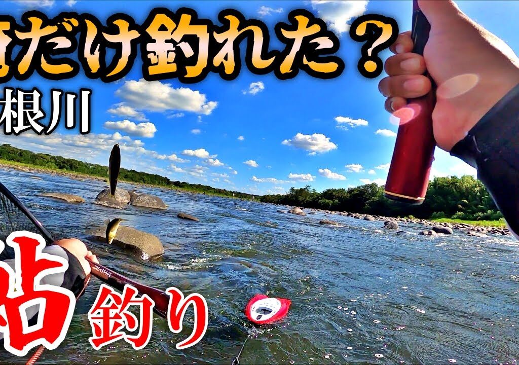 利根川のデカ鮎を釣って炭火焼きにしたら美味し過ぎて飛んだ！