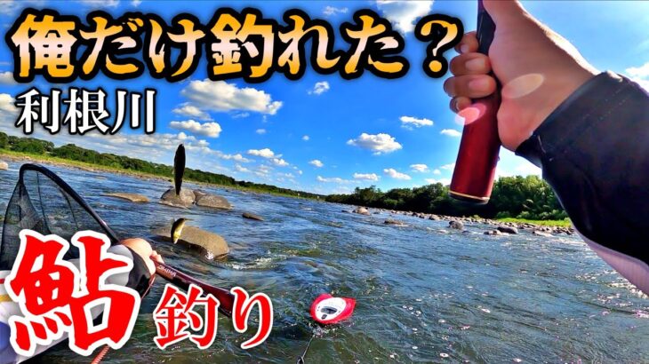 利根川のデカ鮎を釣って炭火焼きにしたら美味し過ぎて飛んだ！