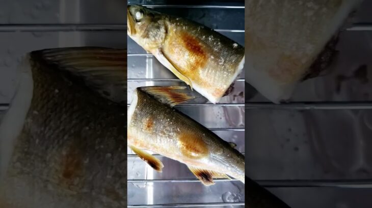 鮎の炊き込みご飯。 #炊き込みご飯
