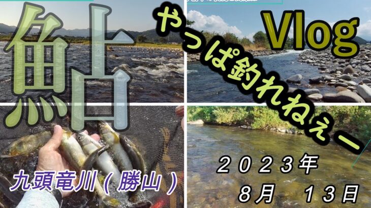 【九頭竜川勝山】やっぱ釣れねぇー　２０２３．８．１３