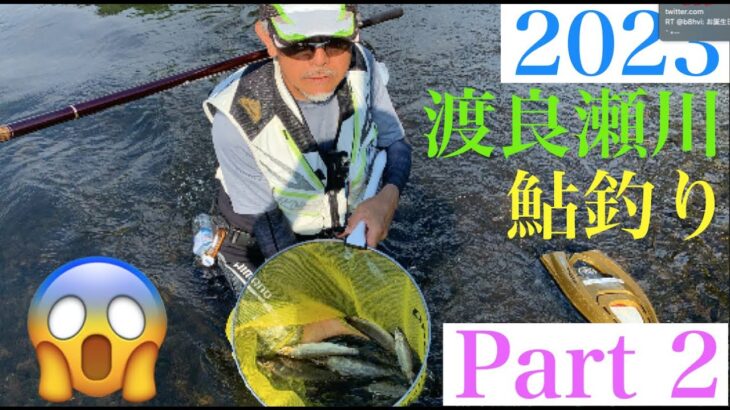 鮎釣り