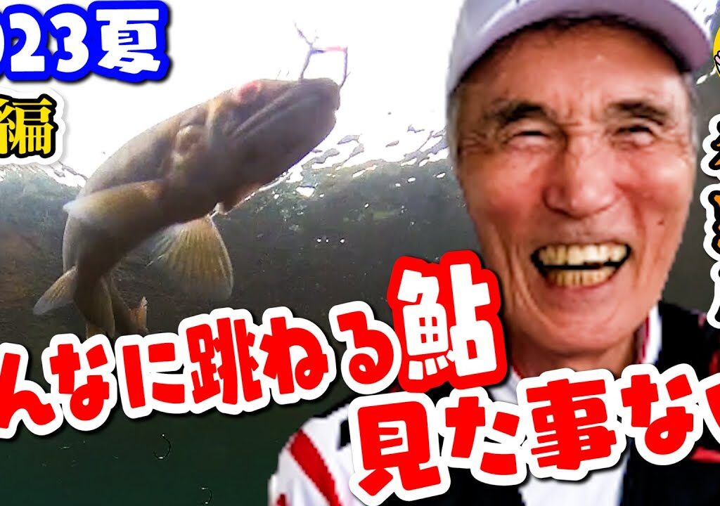 入れ掛かり”ノーカット”【狩野川鮎釣り】こんなに跳ねる鮎見た事ない!!【旭水園】