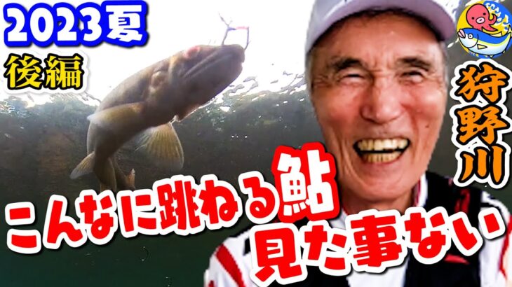 入れ掛かり”ノーカット”【狩野川鮎釣り】こんなに跳ねる鮎見た事ない!!【旭水園】