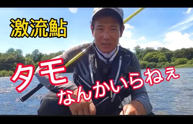 激流鮎釣りにタモなんかいらねぇ　これが出来ると便利