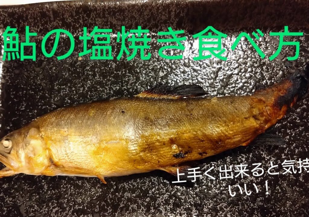 釣った後は美味しく食べます！鮎の塩焼き　鮎釣り