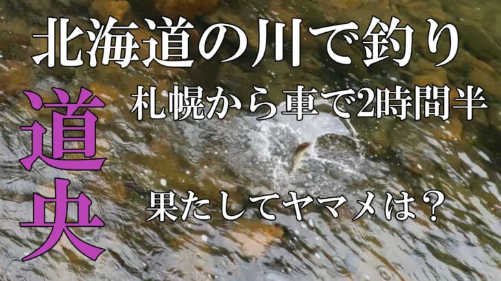 北海道の川で釣り　みゃく釣りとテンカラ釣りを楽しむ！