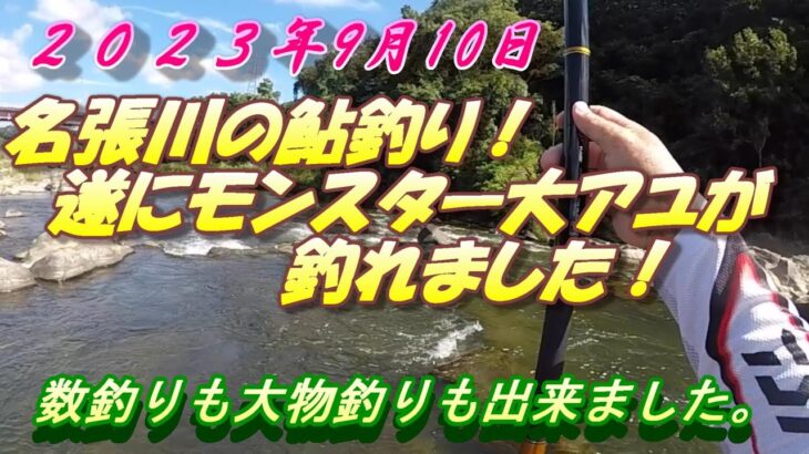 【名張川の大アユ釣り】今シーズン最大のモンスター釣れました。＃鮎釣り＃名張川＃大アユ 0