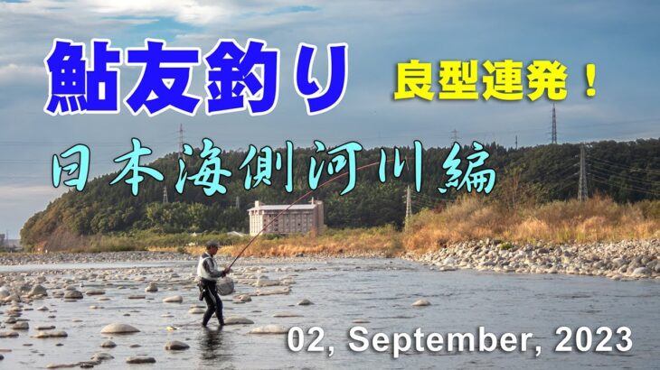 鮎友釣り・日本海側河川編  02, September, 2023