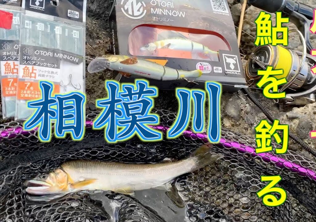 【アユイング】相模川でルアーを使い鮎を釣る／アユルアー・キャスティングアユ（鮎を釣る際は遊漁券が必要です）：オトリミノー104 or 88(JACKALL)