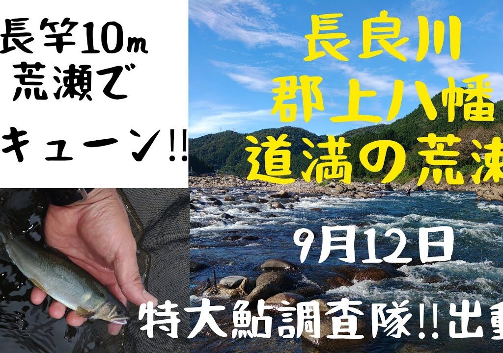 特大鮎調査隊‼️出動‼️道満の荒瀬で長竿10mが曲がる‼️