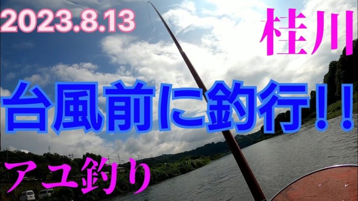 【鮎釣り】山梨県 桂川釣行#20