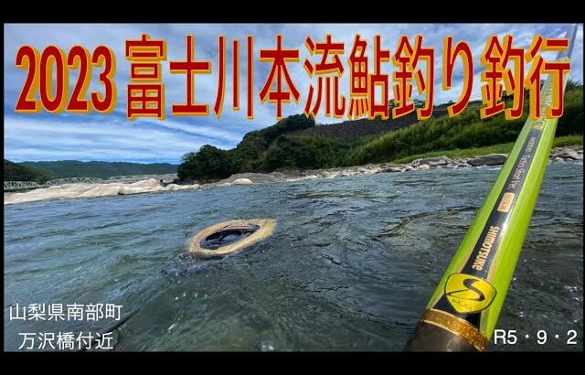 2023 富士川本流鮎釣り釣行