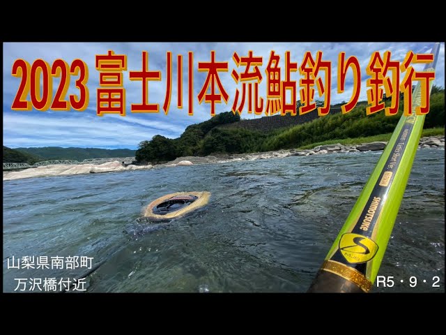 2023 富士川本流鮎釣り釣行