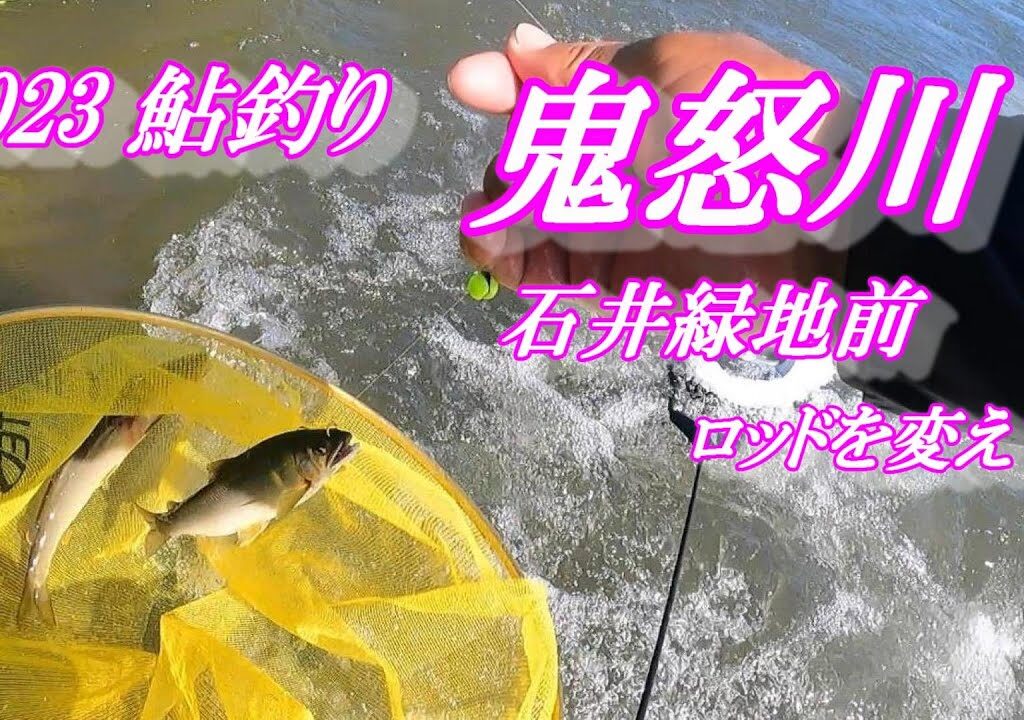 2023鮎釣り 鬼怒川石井緑地前 ロッドを持ち替えて