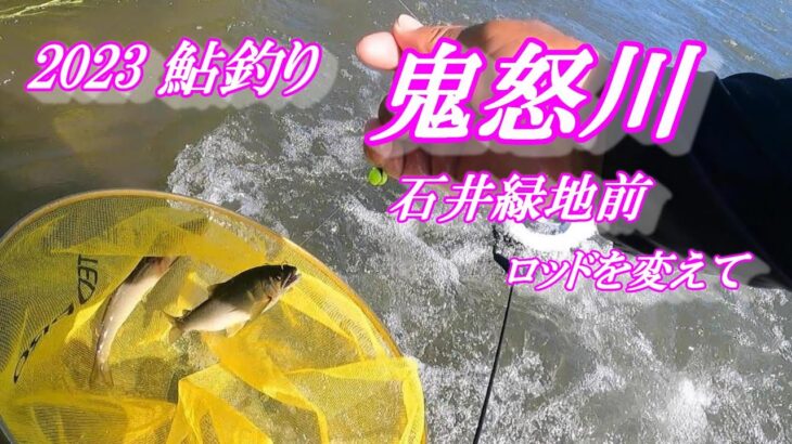 2023鮎釣り 鬼怒川石井緑地前 ロッドを持ち替えて