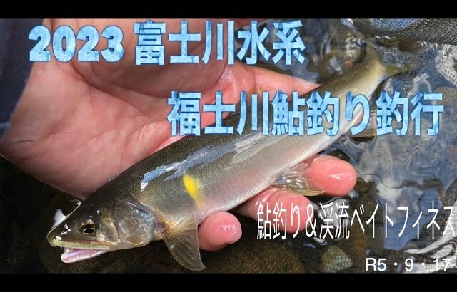 2023 富士川水系福士川鮎釣り釣行