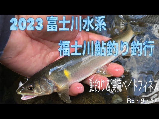2023 富士川水系福士川鮎釣り釣行