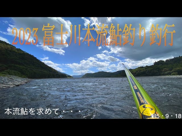 2023 富士川本流鮎釣り釣行