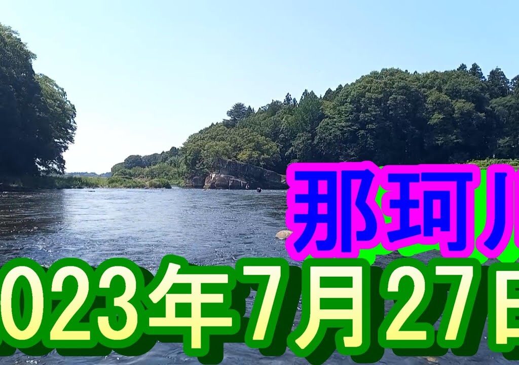 鮎釣り 渇水垢ぐされ 高岩橋下 一本松 那珂川 2023年