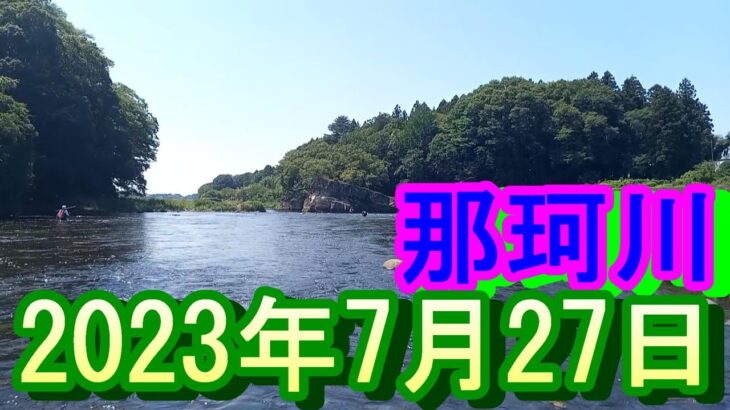 鮎釣り 渇水垢ぐされ 高岩橋下 一本松 那珂川 2023年