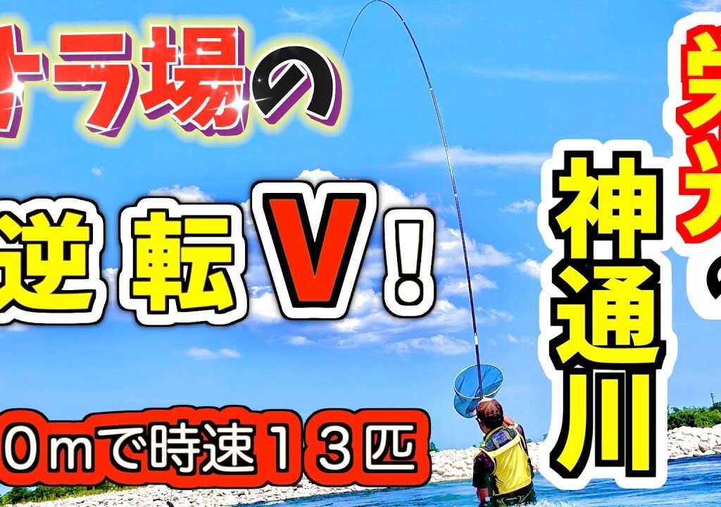 【鮎釣り2023】サラ場はデカ鮎パラダイス‼︎『神通川』で大鮎シーズン開幕だ！
