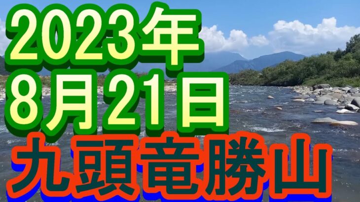 鮎釣り 渇水垢ぐされ 勝山橋上下 九頭竜川勝山 2023年