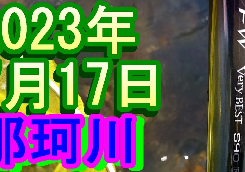 鮎釣り 高岩橋下 那珂川 2023年