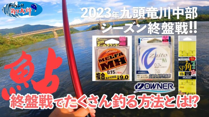 【鮎釣り】九頭竜川中部シーズン終盤でたくさん釣る方法とは！？【2023年浄法寺橋】