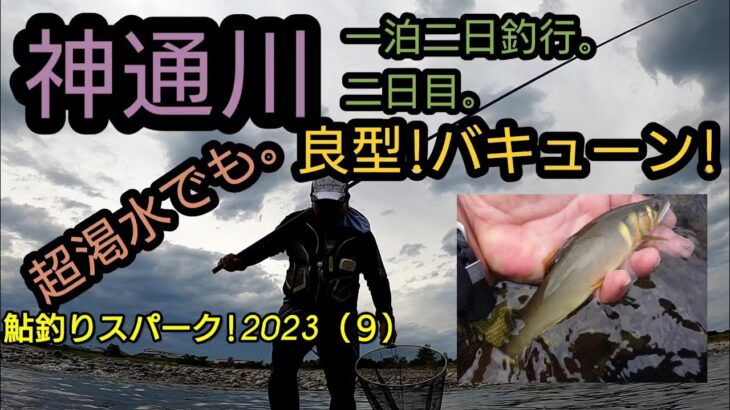 神通川一泊二日釣行二日目。超渇水でも良型!バキューン!鮎釣りスパーク!2023（９）