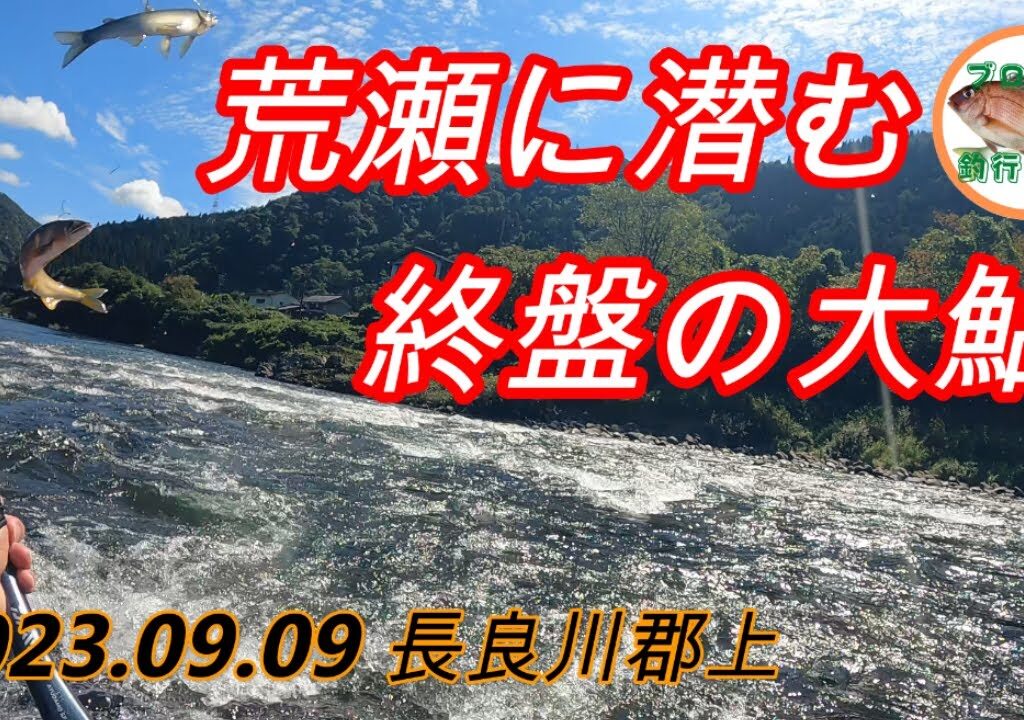 2023.09.09 長良川郡上鮎 ルールやマナーを守って！後から来た釣り人に割り込みされてトラブルを避ける為に早上がり…