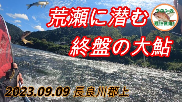 2023.09.09 長良川郡上鮎 ルールやマナーを守って！後から来た釣り人に割り込みされてトラブルを避ける為に早上がり…