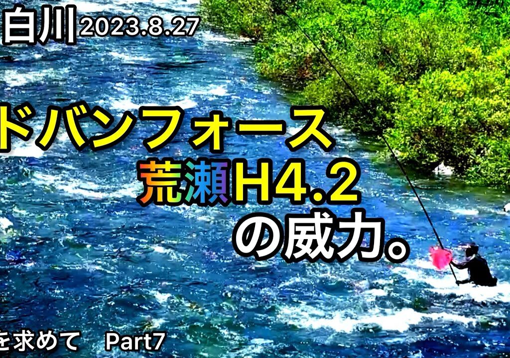 【鮎釣り】白川（岐阜県）｜2023.8.27【友釣り】