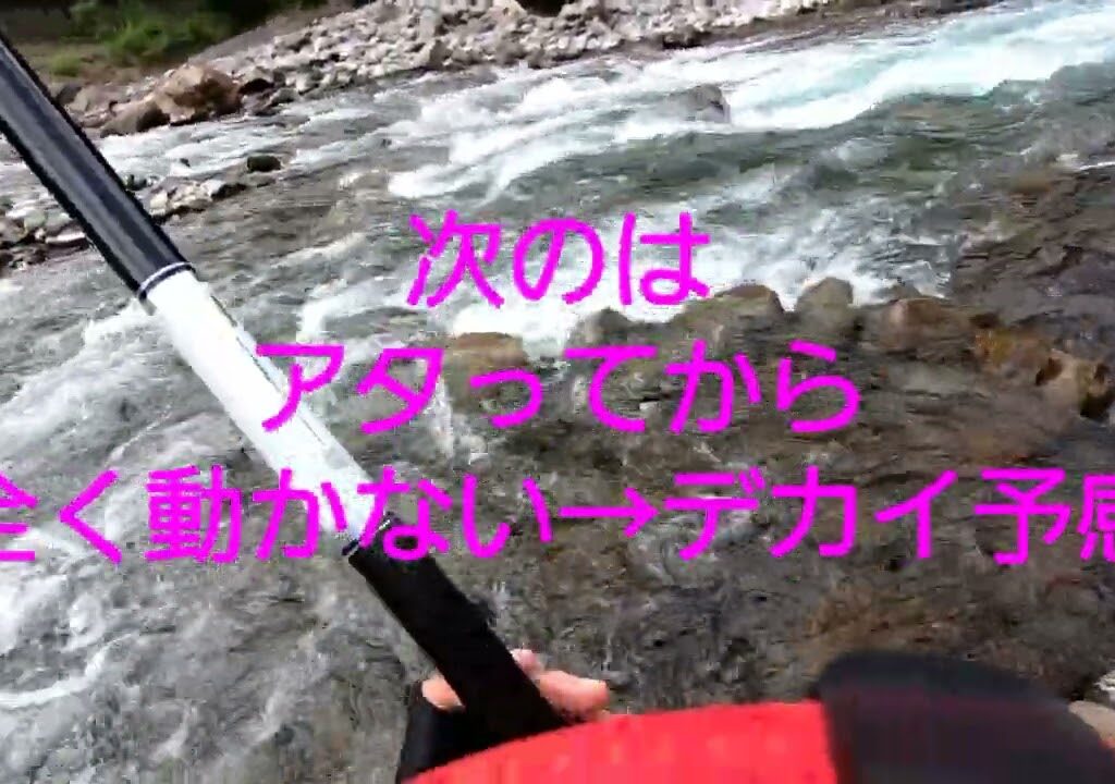 2023.9.10. 和歌山県 日高川龍神にて鮎に翻弄されたの巻