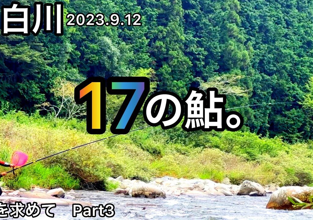 【鮎釣り】白川（岐阜県）｜2023.9.12【友釣り】