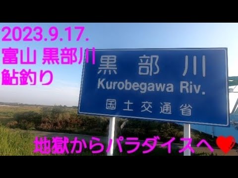 未知の大河？ 富山県 黒部川 鮎釣り 夕方の狂い掛かり 天国モード体験❤️(2023.9.17.)