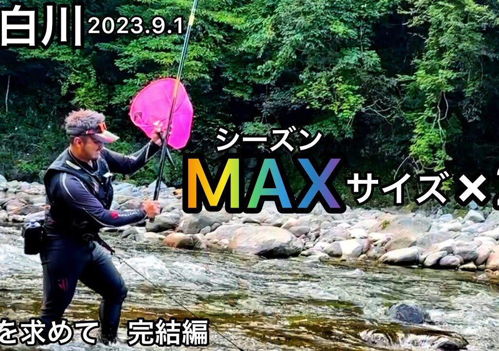 【鮎釣り】白川（岐阜県）｜2023.9.1｜おまけ8.29【友釣り】