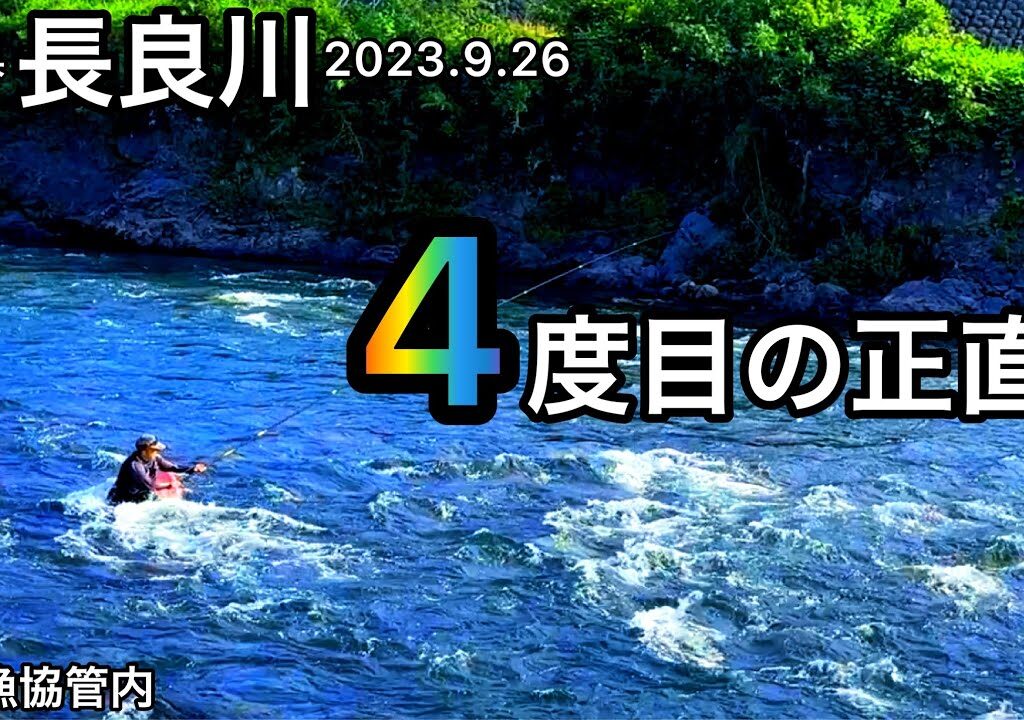 【鮎釣り】長良川（岐阜県）｜2023.9.26【友釣り】