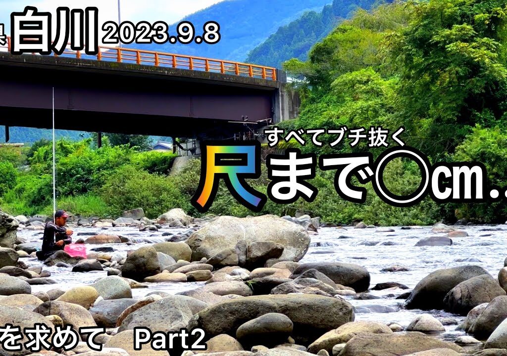 【鮎釣り】白川（岐阜県）｜2023.9.8【友釣り】