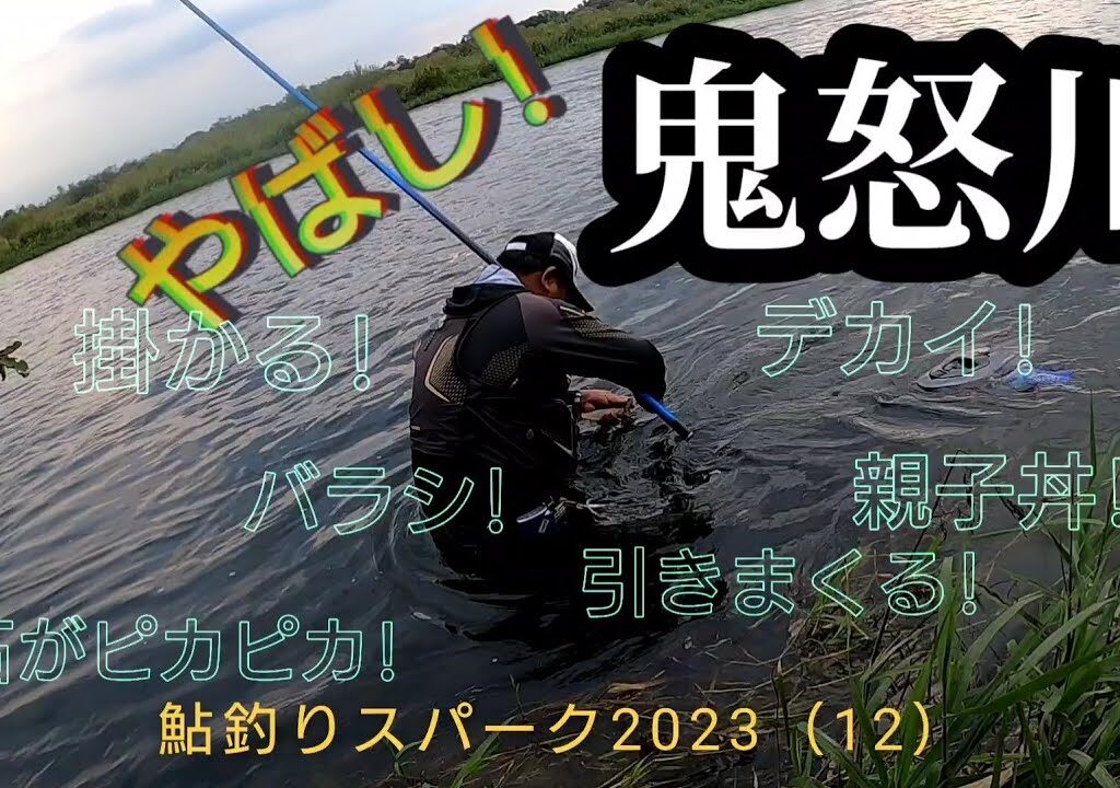 鬼怒川。やばし!楽しすぎるー!。鮎釣りスパーク!2023（12）