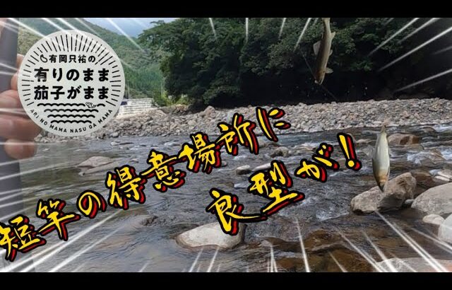 【鮎釣り】2023/7/23 短竿には短竿の釣りがある