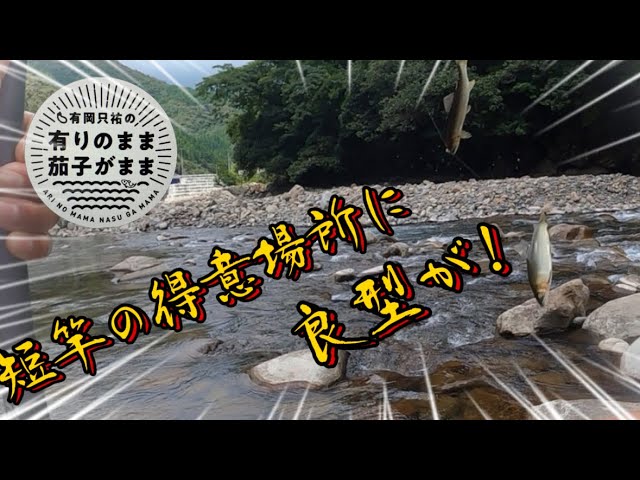 【鮎釣り】2023/7/23 短竿には短竿の釣りがある