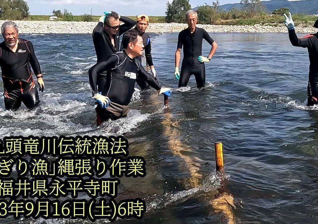 九頭竜川伝統漁法　｢さぎり漁｣縄張り作業　福井県永平寺町　2023年9月16日(土)