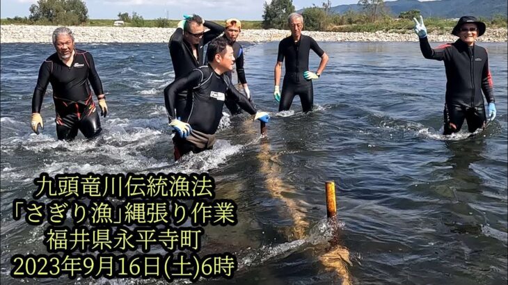 九頭竜川伝統漁法　｢さぎり漁｣縄張り作業　福井県永平寺町　2023年9月16日(土)