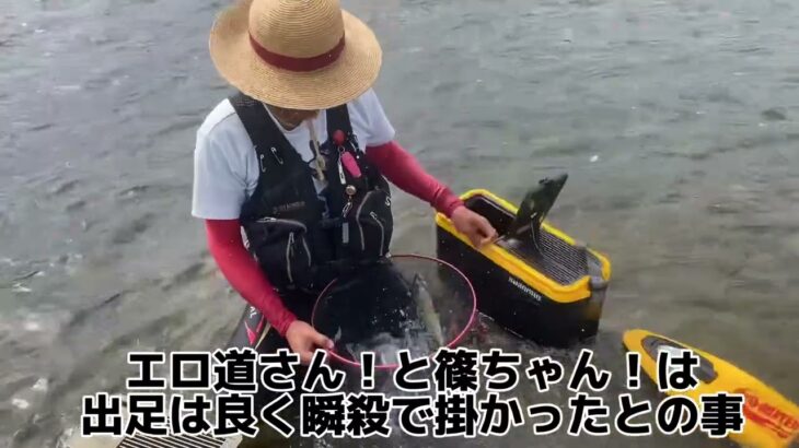 2023、9月2日富山県大鮎河川釣行、#釣り #鮎釣り #鮎 #サンライン #サンテック #シミズテクノメッシュ#富山県