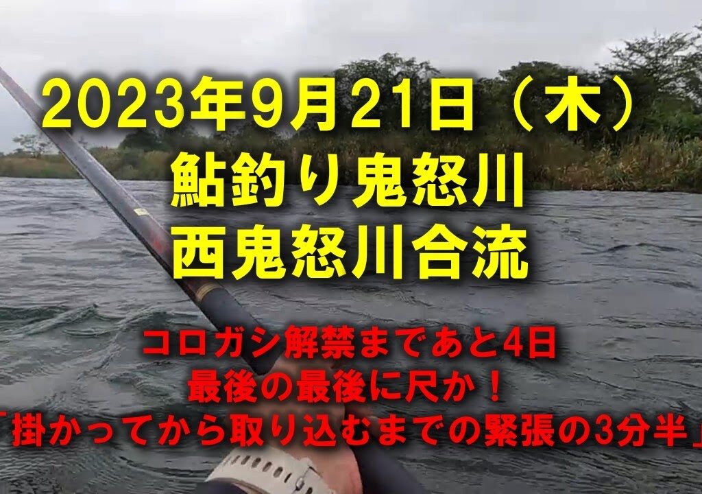 【2023鮎釣り】9月21日（木）鬼怒川釣行（西鬼怒川合流）