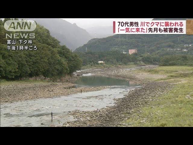 アユ釣り中クマに襲われ重傷「一気に来た」　先月も被害出た富山市(2023年9月28日)